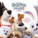 마이펫 이미지