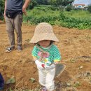 신현농장 이미지