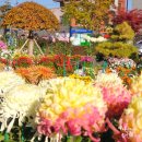 칠서면사무소 이미지