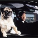 맨인블랙(M.I.B.) 이미지