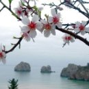 서신중학교 이미지