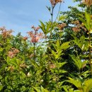 뜨락풍경 이미지