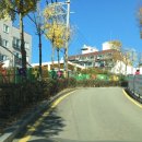 서울강신초등학교 이미지