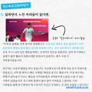 새벽의축구전문가