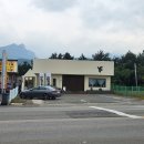 옐로우송버드 이미지