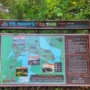 문화마을길(와룡면) 이미지