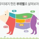 상인축산 이미지