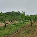 대월농장 이미지