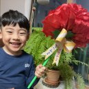 슈바이처 장희성 이미지