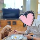 라루나플뢰르 - 북구 일곡로 45-5 | 라루나플뢰르