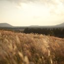 하늘오름펜션 이미지