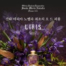 노벨라플라워