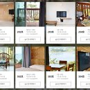 올가리조트 이미지