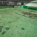 촉석초 앞 이미지