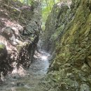 팡팡랜드 이미지