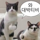 토함산락글램핑 이미지