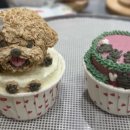 노랭보랭 이미지