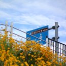 신평동1143 이미지