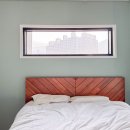 풀꽃마중 이미지