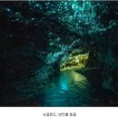 잇플레이스 이미지