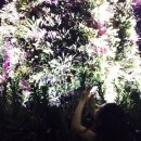 레드호스텔 이미지