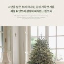 그린트리 이미지