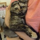 하늬동물병원 이미지