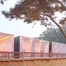 골든웨이브 | 태안 오션뷰에 일몰이 이쁜 골든웨이브펜션 내돈내산! 애견동반, 무한리필 바비큐, 갯벌 체험, 수영장...