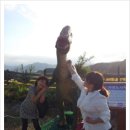 일성농장 이미지