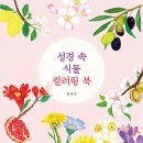 대구가톨릭대학교 신학대학원 | 비잔티움 미술부터 고딕 성당, 성경 속 식물 등 보고 배우고 그리는 즐거움