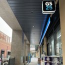 브라이트 독 이미지