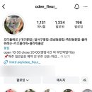 오디플레르