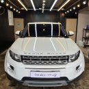 디테일러 일심 이미지