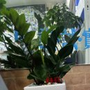 대경공인중개사사무소 이미지