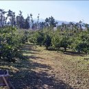 채형농장 이미지