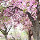 월곡역사공원 이미지