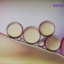 호명나루165풀빌라 이미지