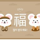 치료멍멍동물병원 이미지