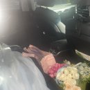 딜리버리로우 | 블랑드윈느 로라스튜디오 부산 촬영 후기 (야외촬영, 배경정보)