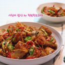 노가리학교 Daum카페