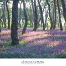 황성공원 시민운동장 이미지