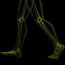 본앤본죽 이미지