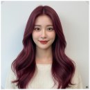 산곡애견사랑 | 로이드밤산곡중앙점 레이어드컷 잘한다고 소문난 부평미용실