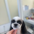 마음이네 멍발소 이미지