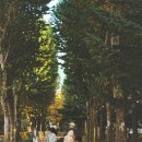 장아산근린공원 | 59번째롤 | 24년 가을 기록: 문래, 수원, 아산, 대만_라이카z2x