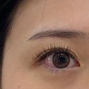 제니스빌 | 대구속눈썹연장 찐 맛집 내돈내산 만족 후기 "미야오뷰티"