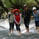 봉평메밀숲 이미지