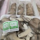 경현농장 이미지