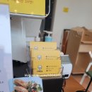 츄츄애견 이미지