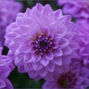 초보자를 위한 스마트폰 활용 이미지